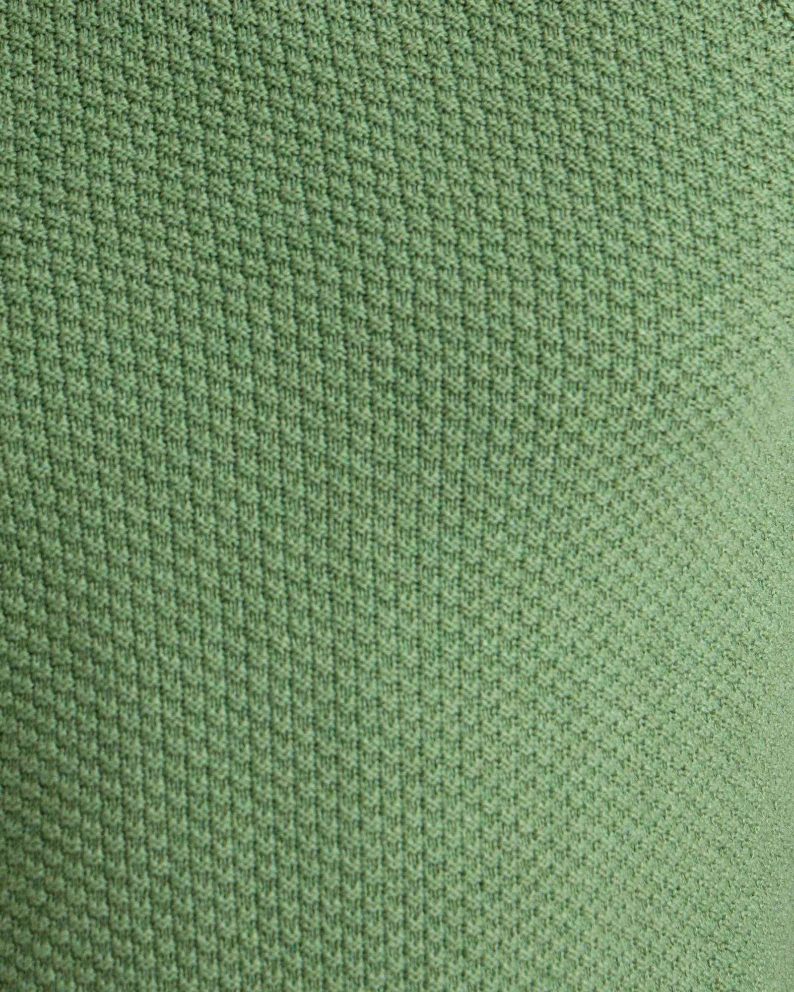 Bruno Cotton Crew Neck Pullover - Image 12